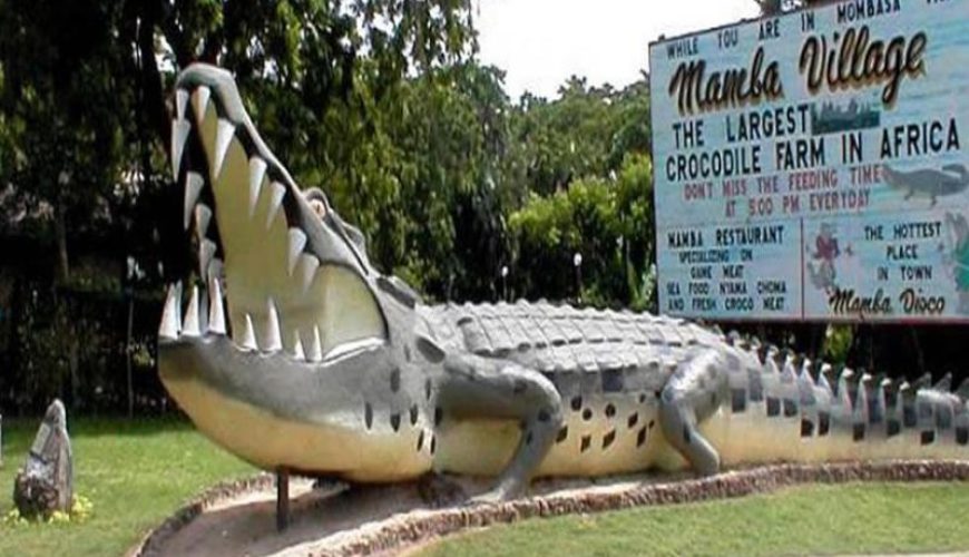 Mamba Village Centre