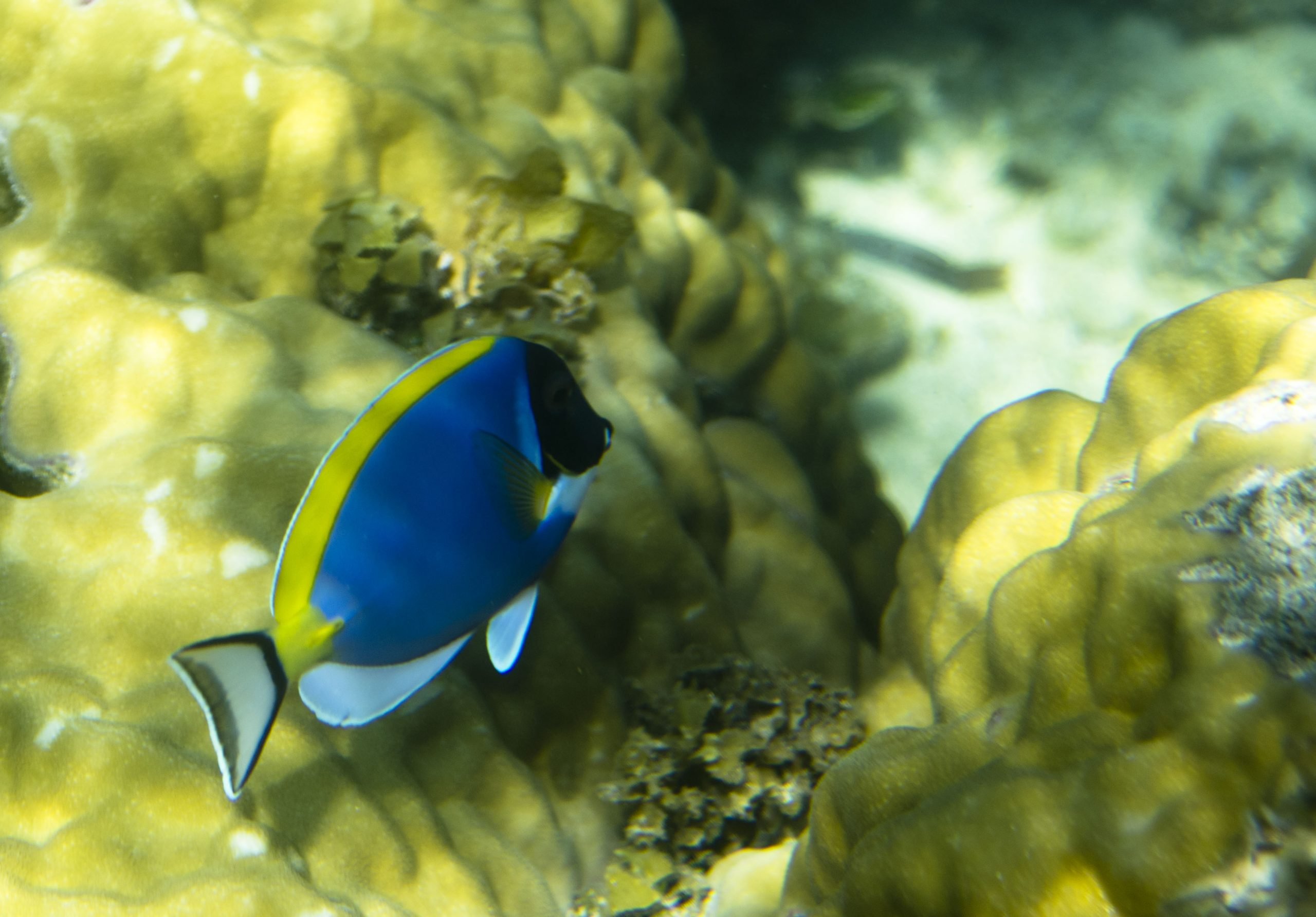 Kiunga Marine National Reserve