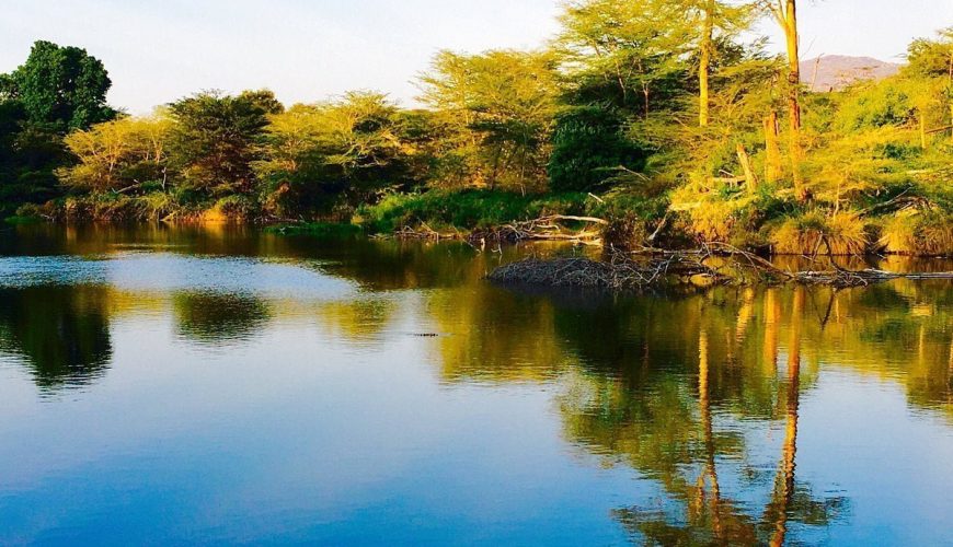 Mzima Springs: A Wildlife Haven